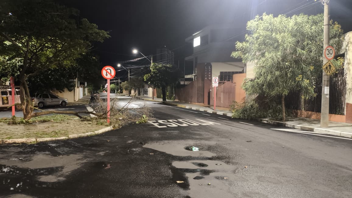 Foto 51 de 67 — TEMPORAL EM FOTOS: veja imagens de destruição em Araraquara